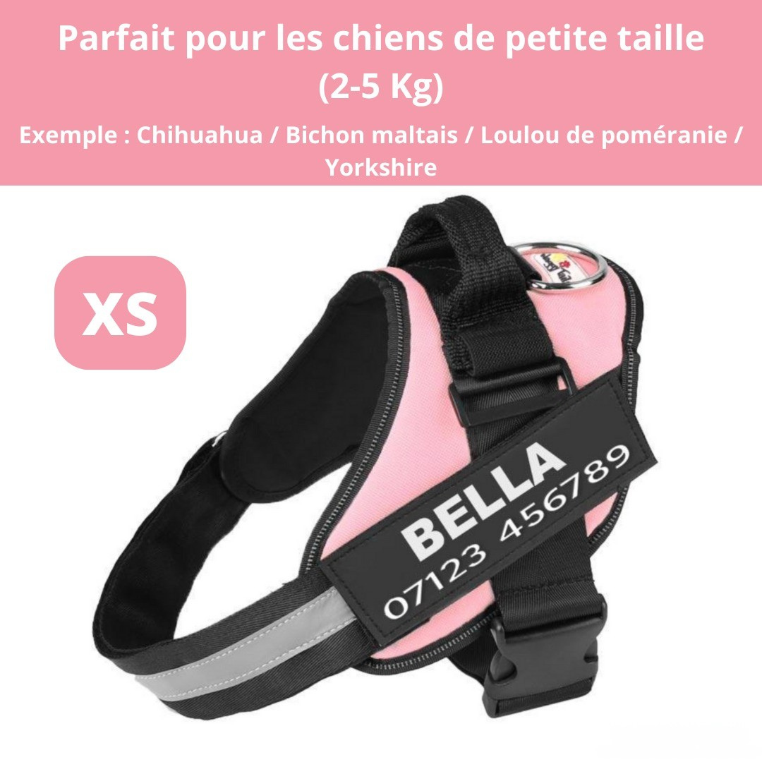 Harnais personnalisable anti-traction pour petit chien
