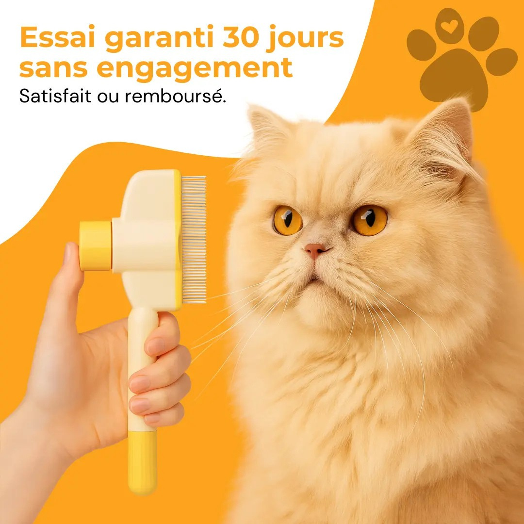Brosse attrape-poils pour chat