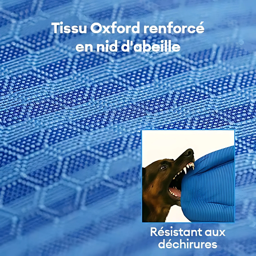 Lit Orthopédique pour Chien