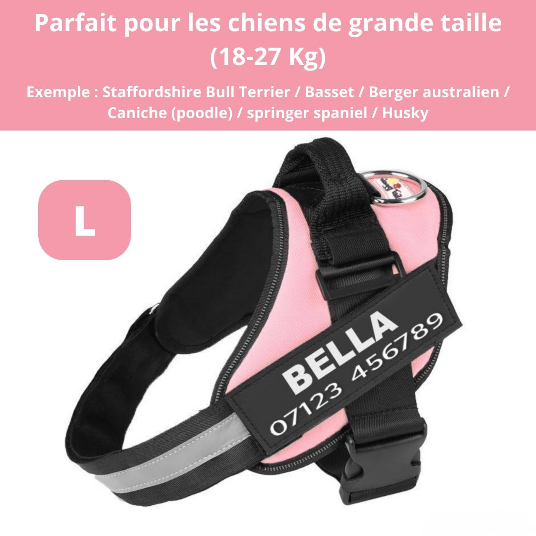 Harnais personnalisable anti-traction pour petit chien