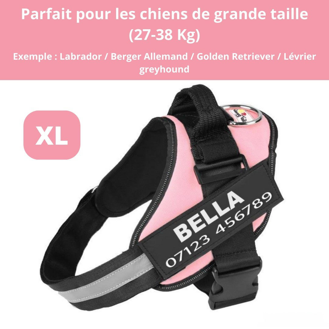 Harnais personnalisable anti-traction pour petit chien