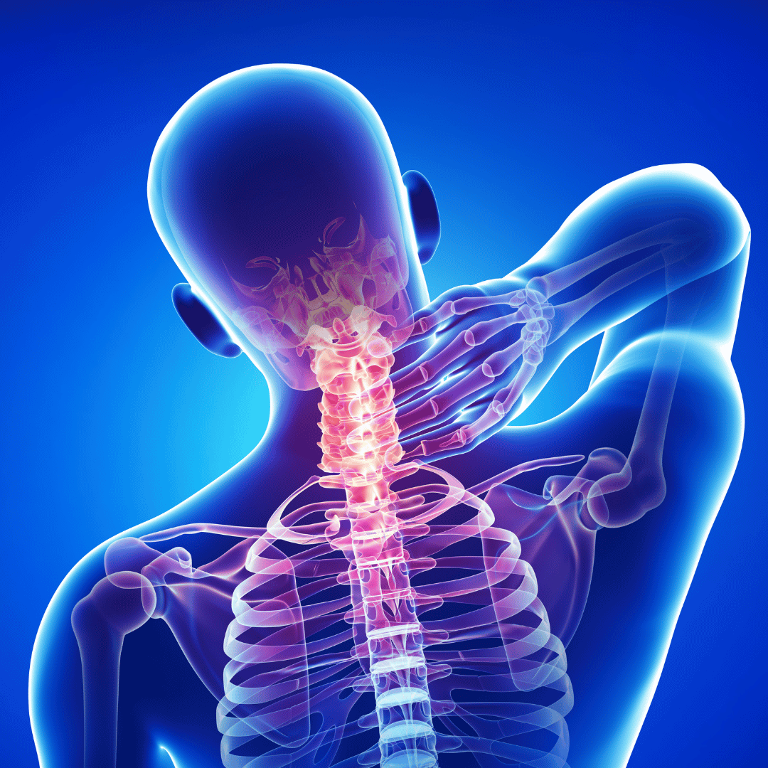 L’Original Oreiller Thérapeutique pour la Nuque