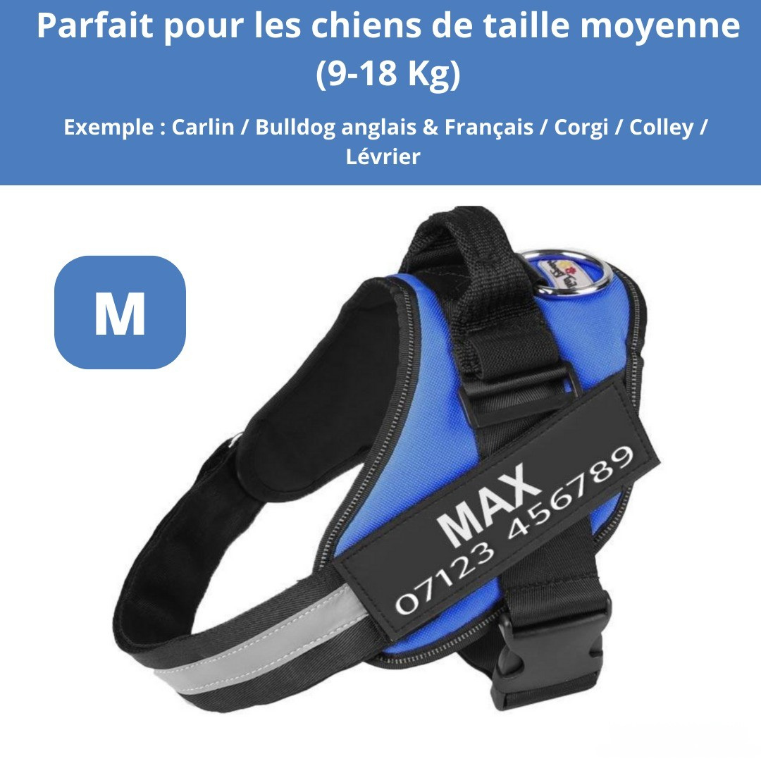 Harnais personnalisable anti-traction pour petit chien