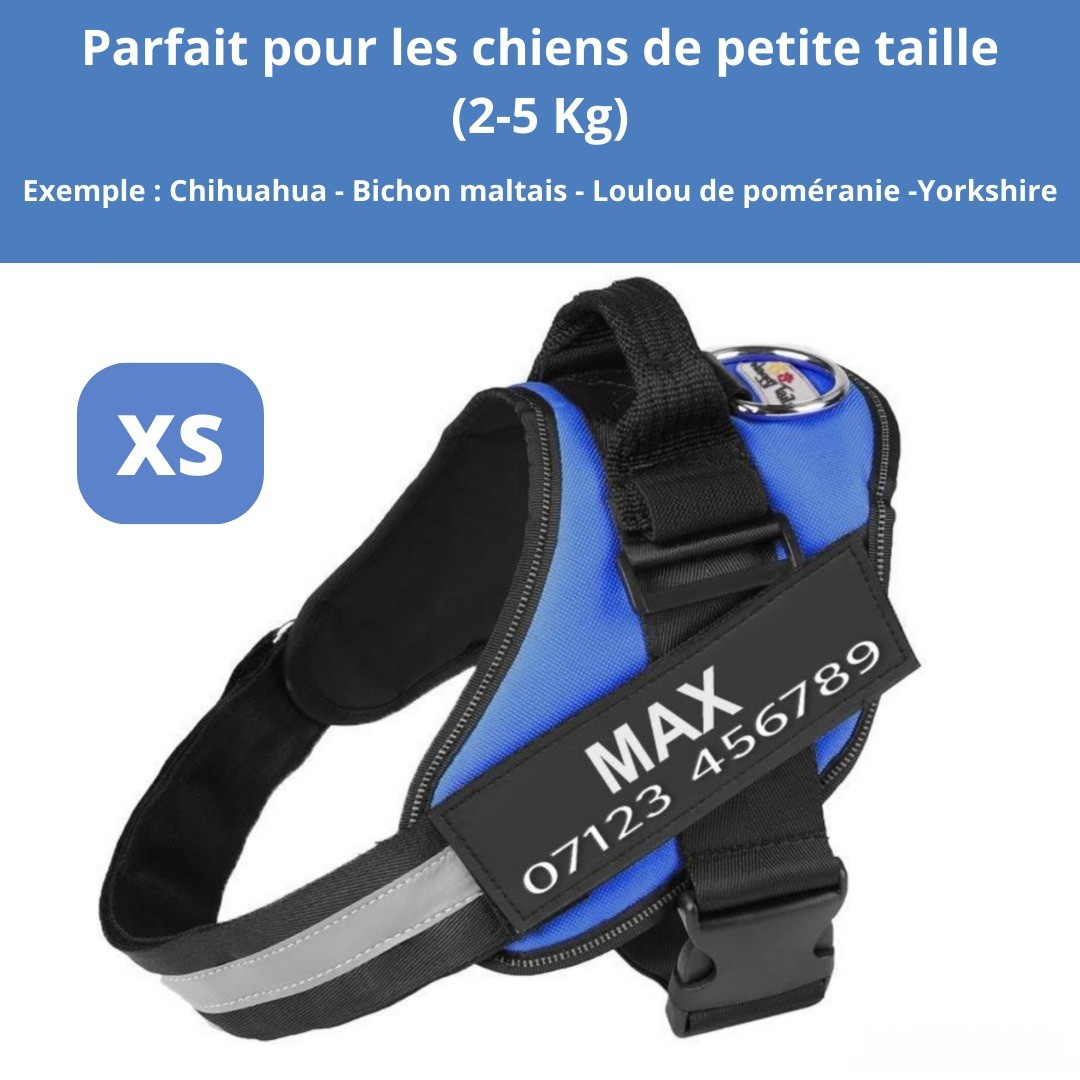Harnais personnalisable anti-traction pour petit chien
