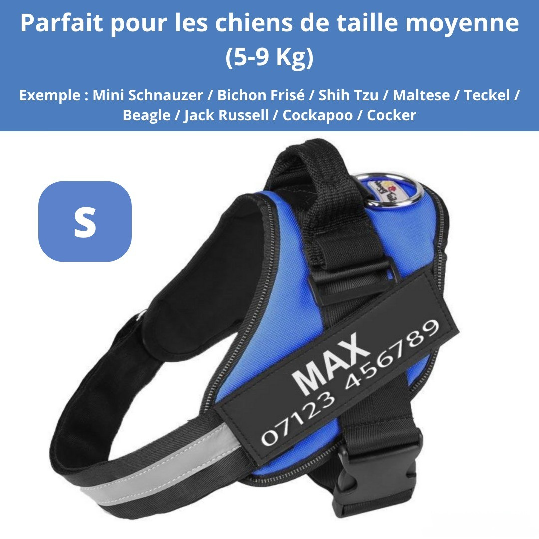 Harnais personnalisable anti-traction pour petit chien