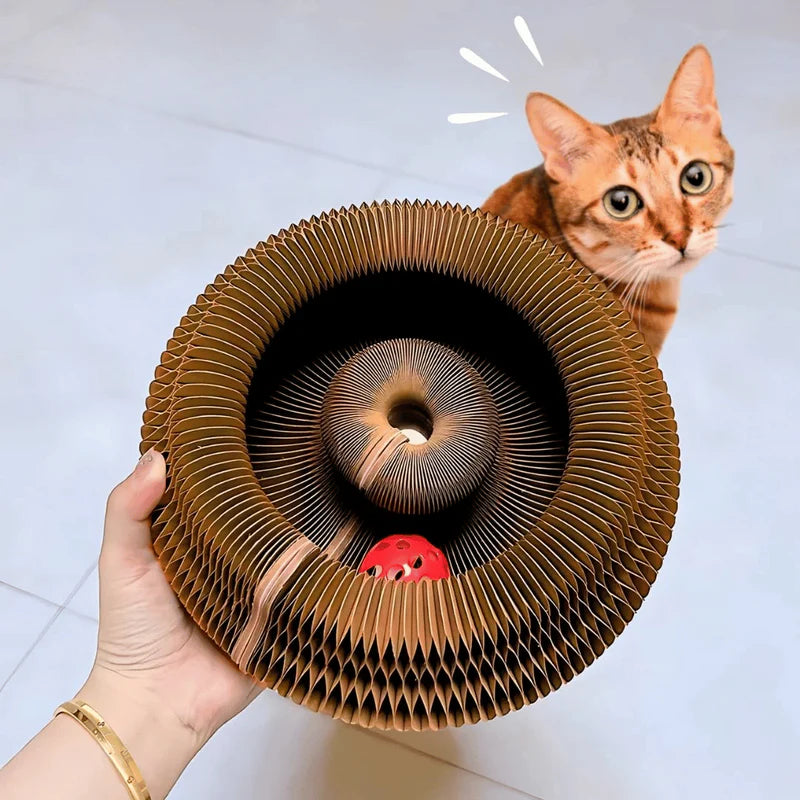 Twistou – Le jouet interactif qui capte l’attention des chats