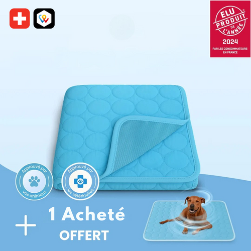 Tapis Rafraîchissant pour Animaux