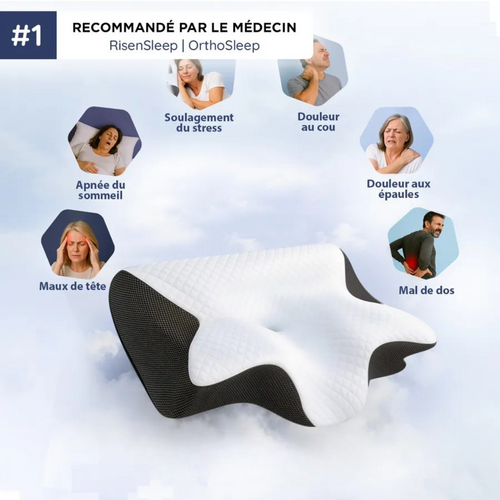 Oreiller ergonomique cervical