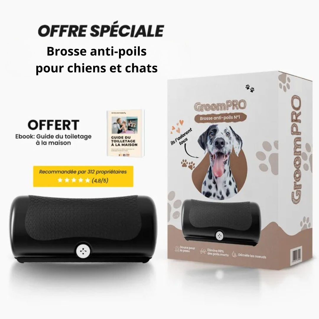Brosse anti-poils pour chiens et chats