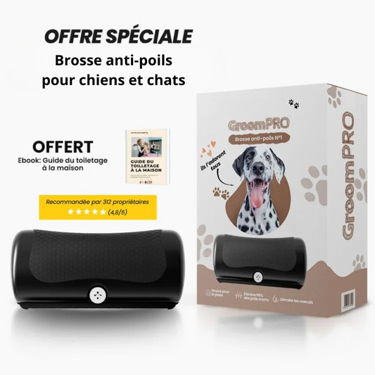 Brosse anti-poils pour chiens et chats