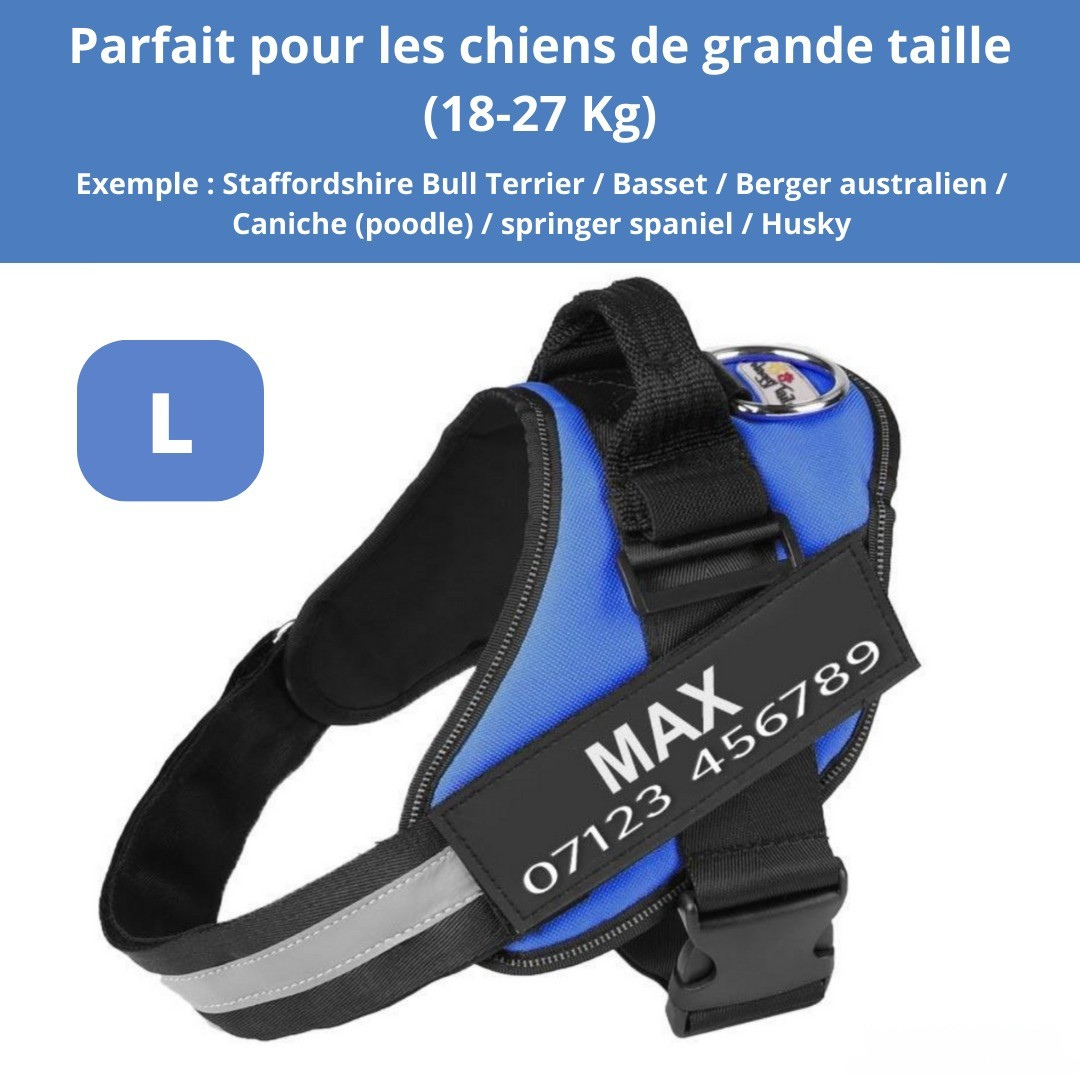 Harnais personnalisable anti-traction pour petit chien
