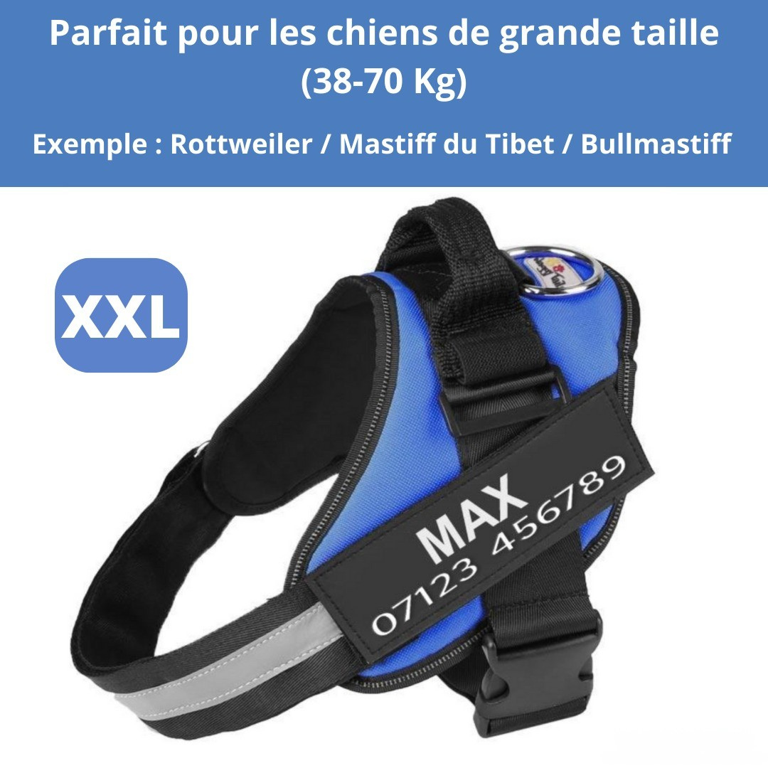 Harnais personnalisable anti-traction pour petit chien