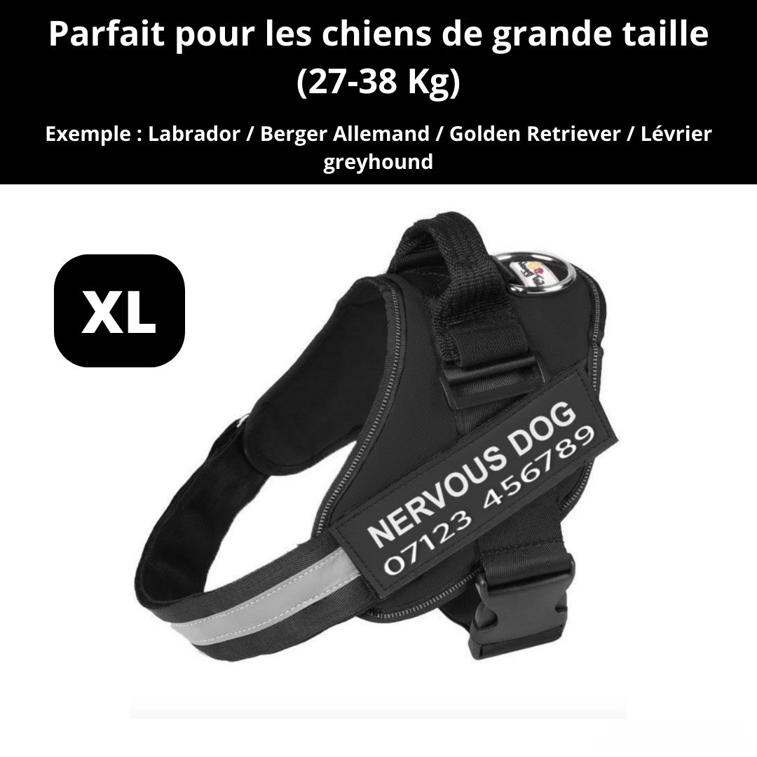 Harnais personnalisable anti-traction pour petit chien