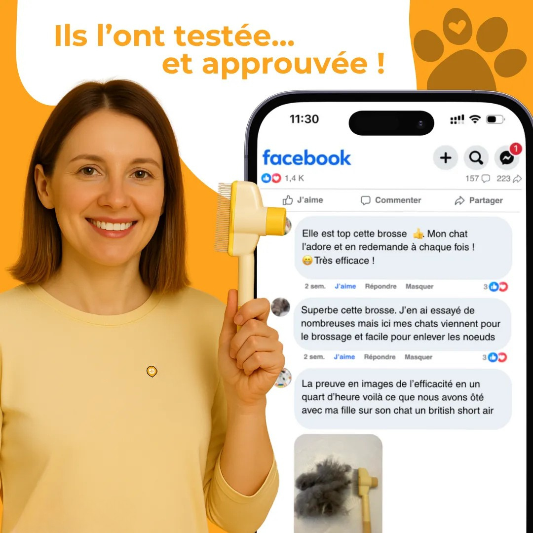 Brosse attrape-poils pour chat