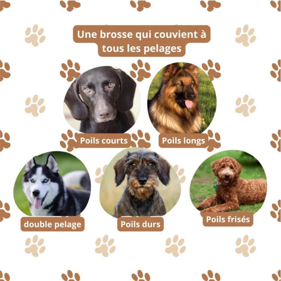 Brosse anti-poils pour chiens et chats