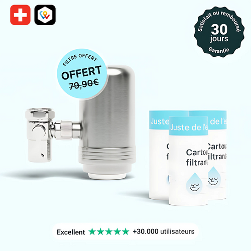 Filtre robinet avec cartouches incluses