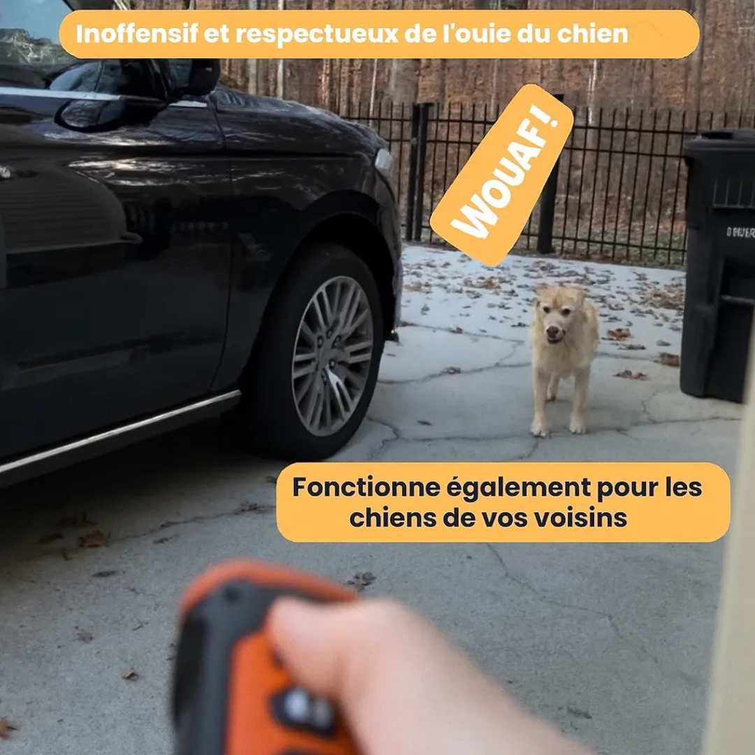 Dispositif Anti-Aboiement Ultrasonique