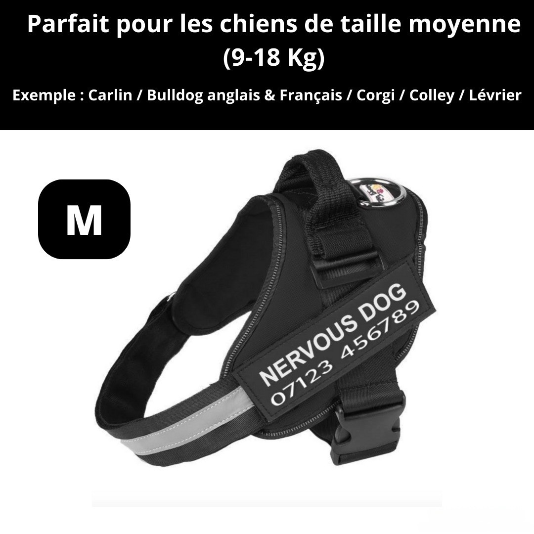 Harnais personnalisable anti-traction pour petit chien