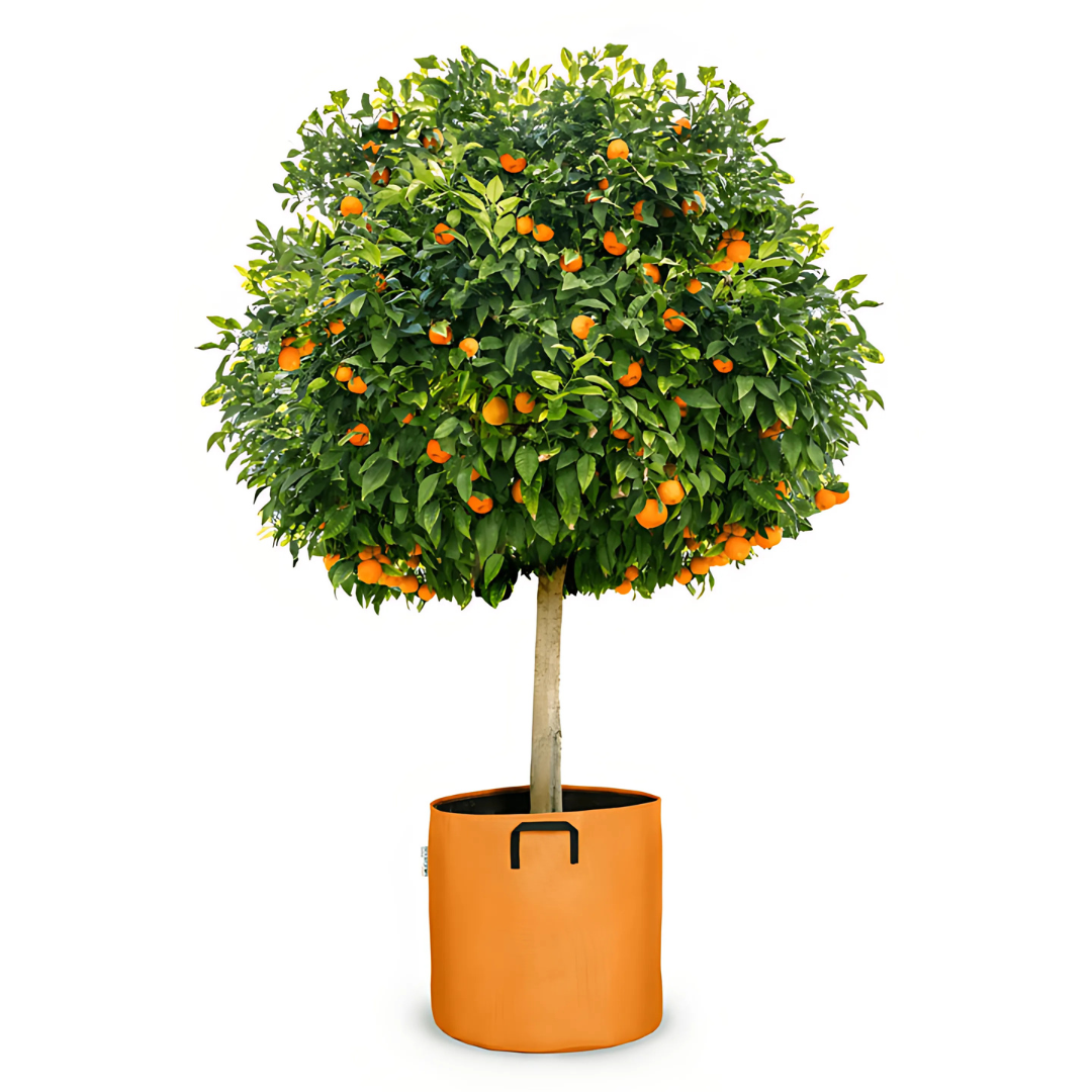 Pot auto-arrosant évolutif