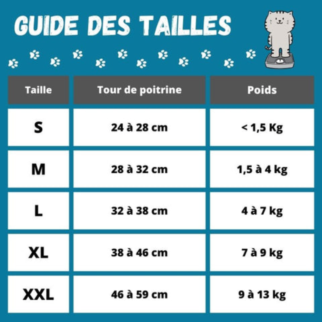 Geschirr für Katzen