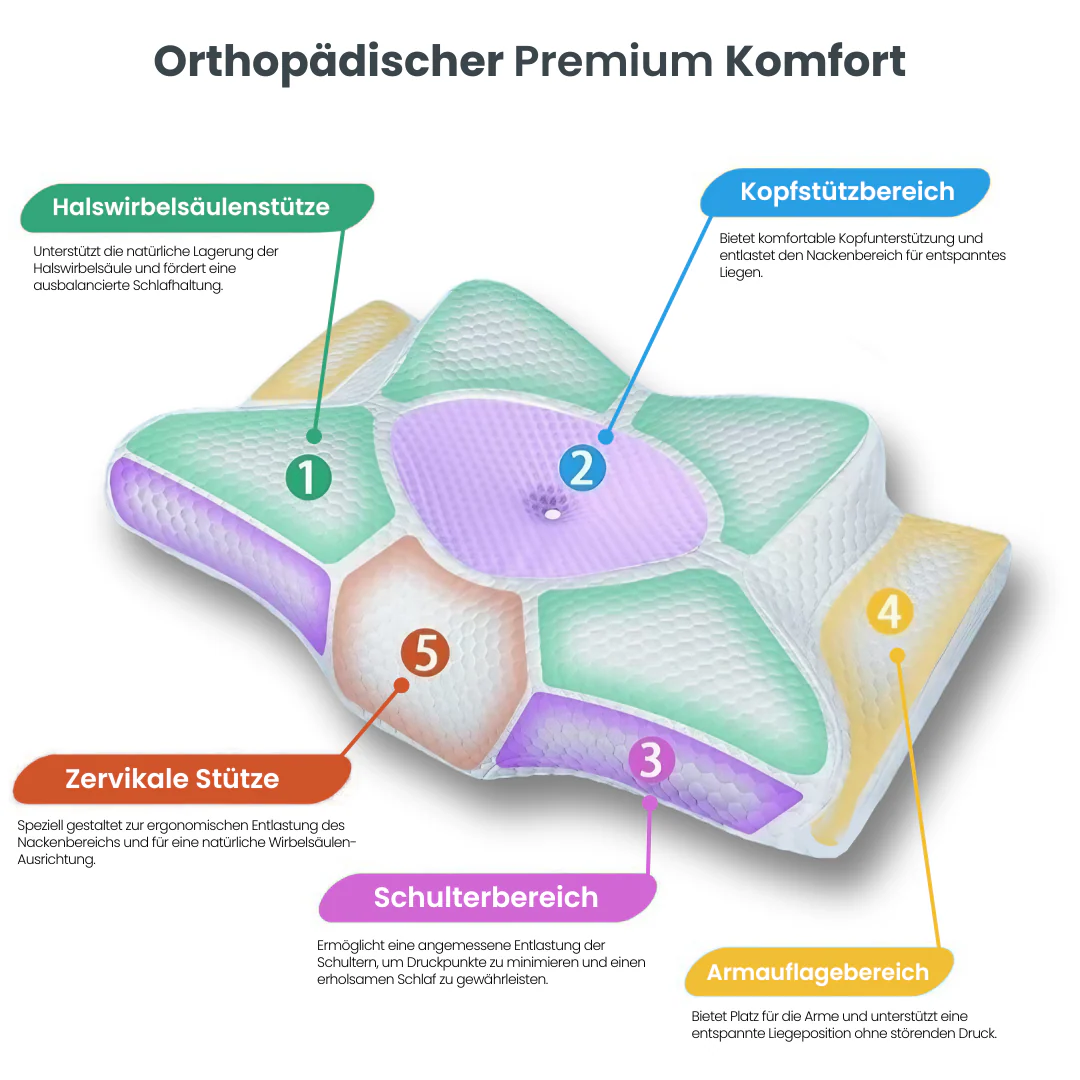 Oreiller Ergonomique Cervical