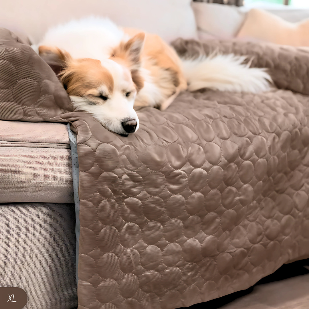 Tapis rafraîchissant pour animaux