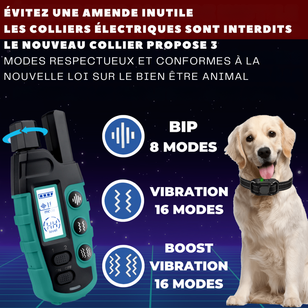 Langreichweitiges Trainingshalsband für Hunde