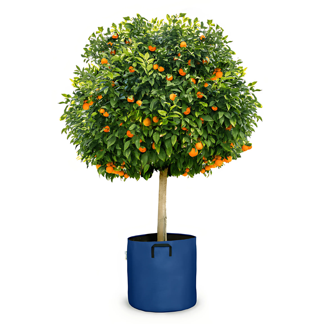 Pot auto-arrosant évolutif
