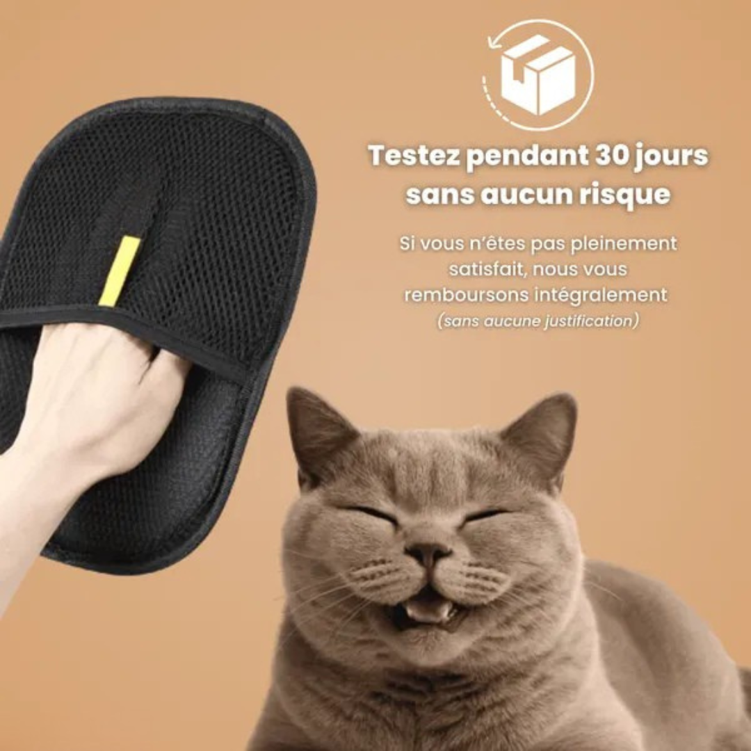 Gant anti-poils réutilisable