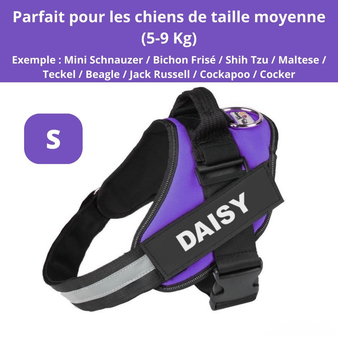 Harnais personnalisable anti-traction pour petit chien