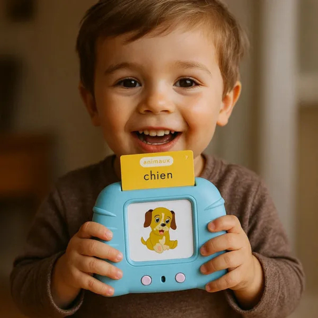 Cartes éducatives interactives
