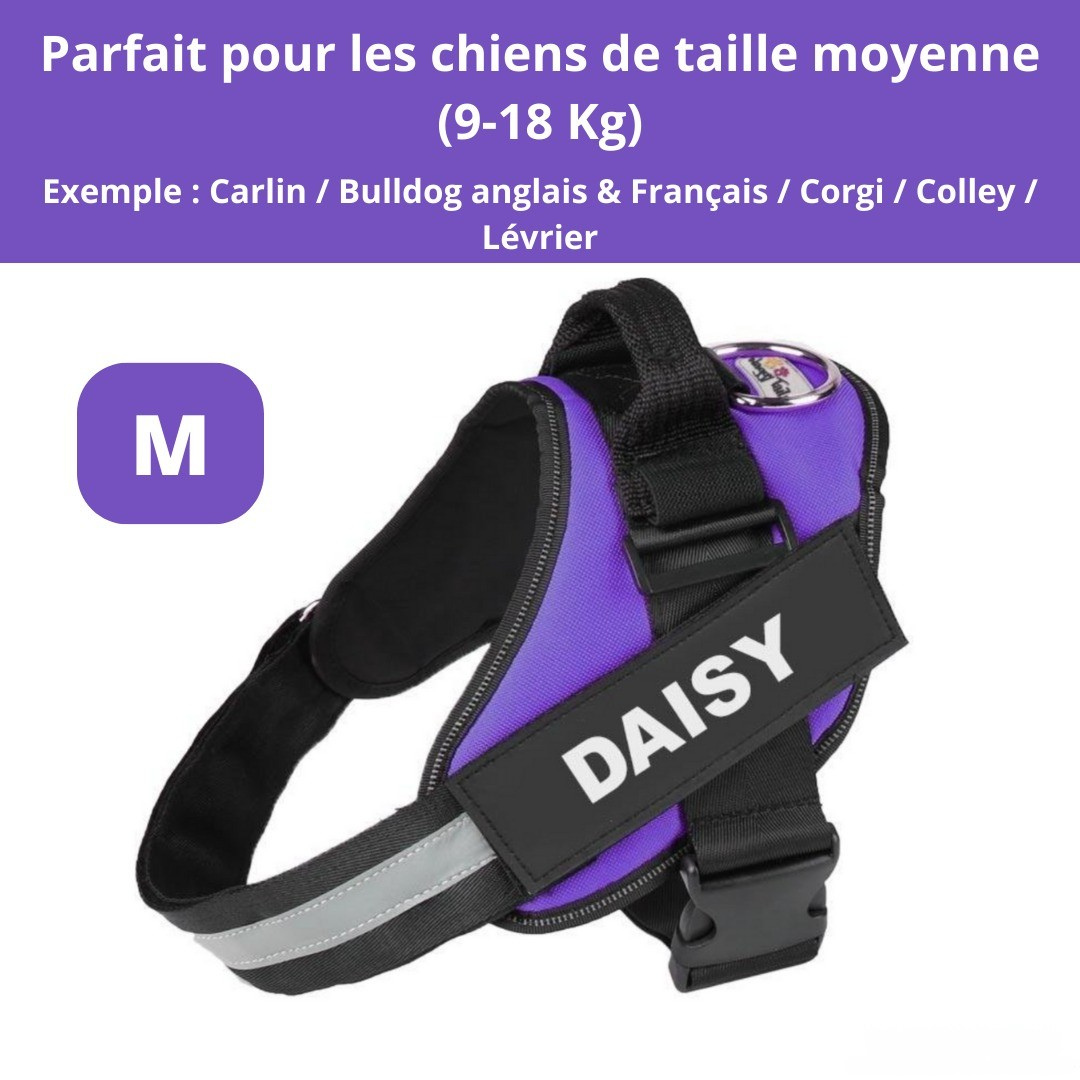 Harnais personnalisable anti-traction pour petit chien