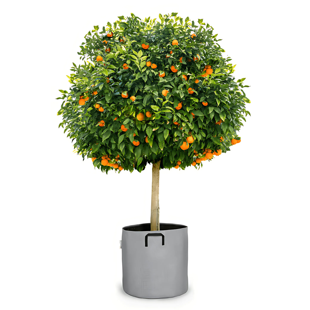 Pot auto-arrosant évolutif