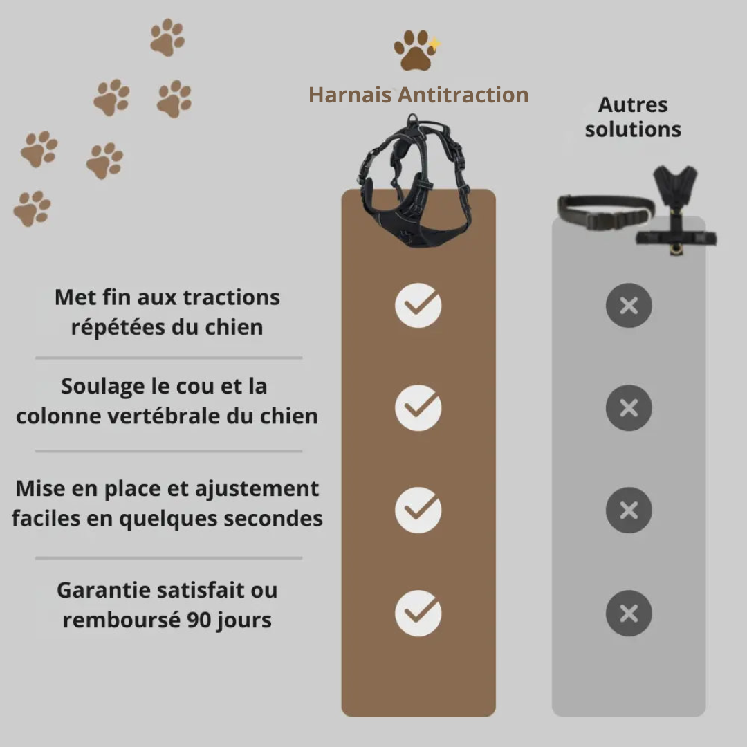 Komfortabler Anti-Zug-Gurt für Hunde