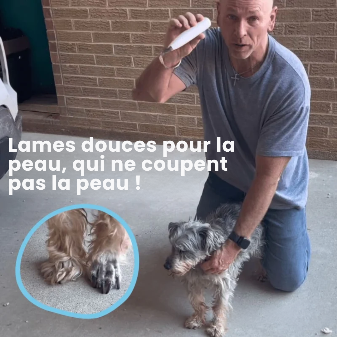 Outil électronique de soin pour pattes de chien