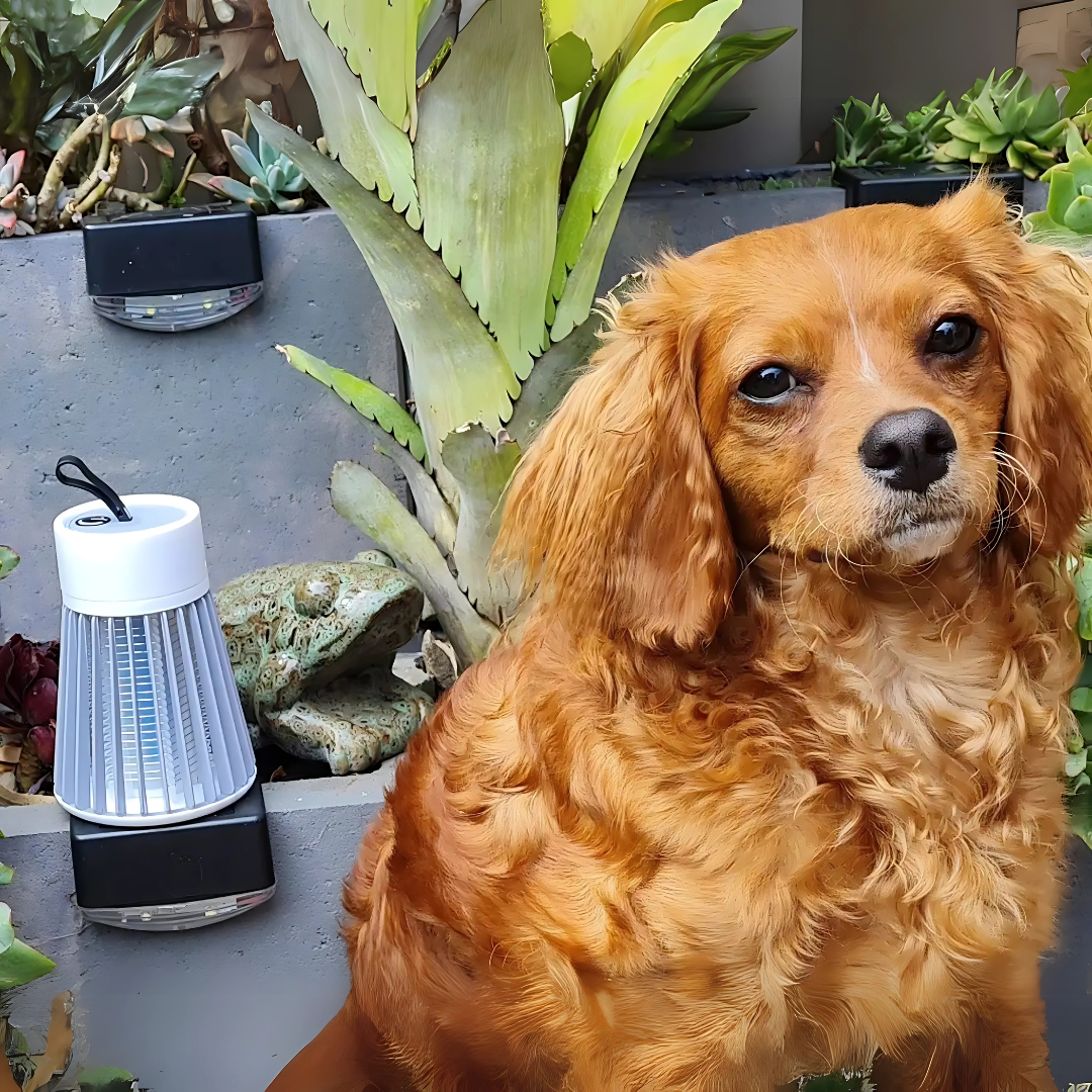 Elektrische Mückenfalle UV