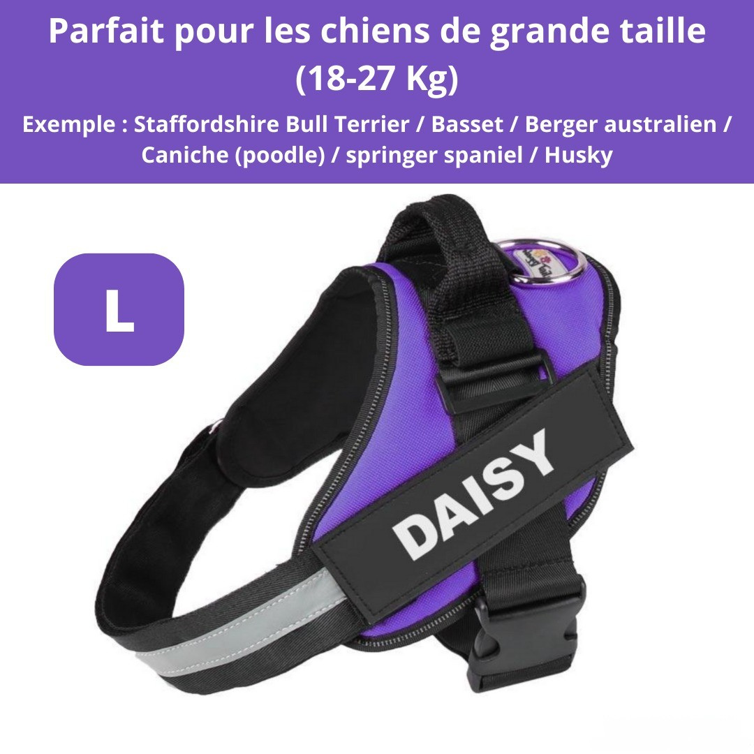 Harnais personnalisable anti-traction pour petit chien
