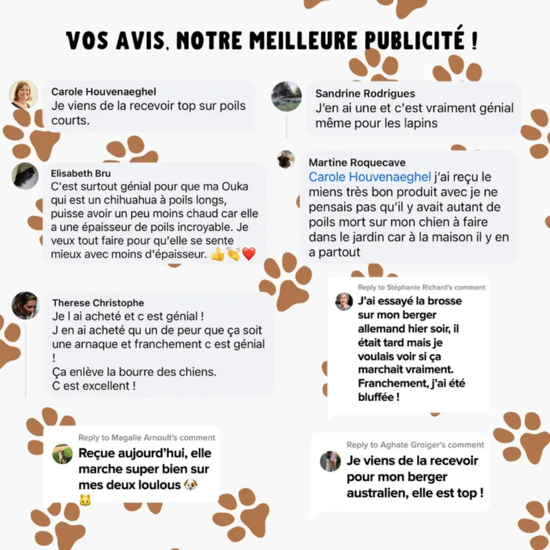 Brosse anti-poils pour chiens et chats
