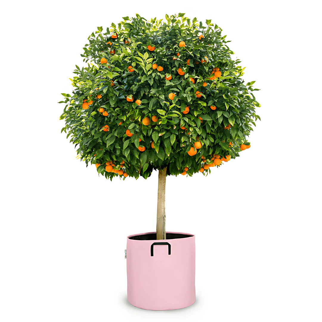 Pot auto-arrosant évolutif