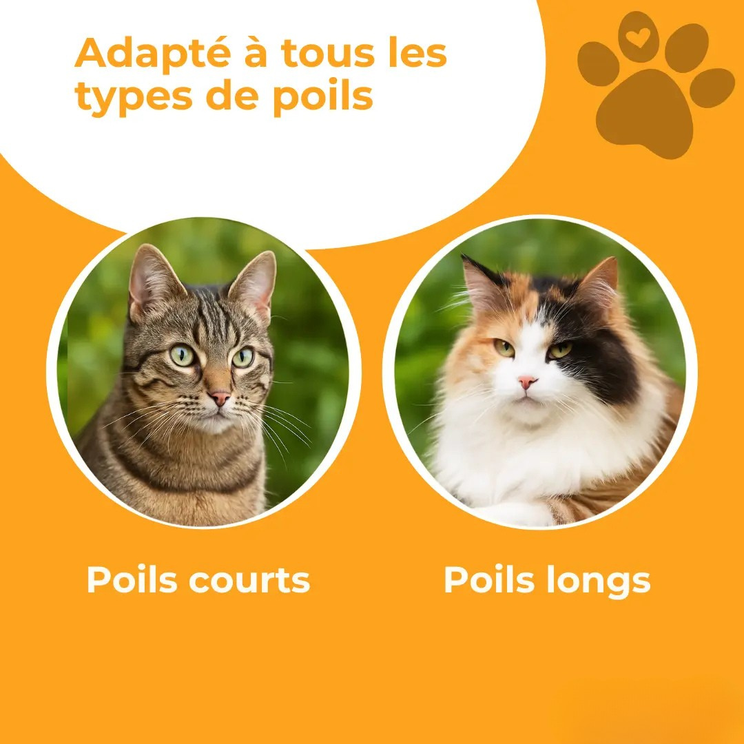Brosse attrape-poils pour chat