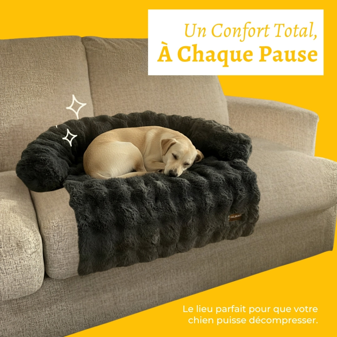 Canapé-lit doux et confortable pour chien