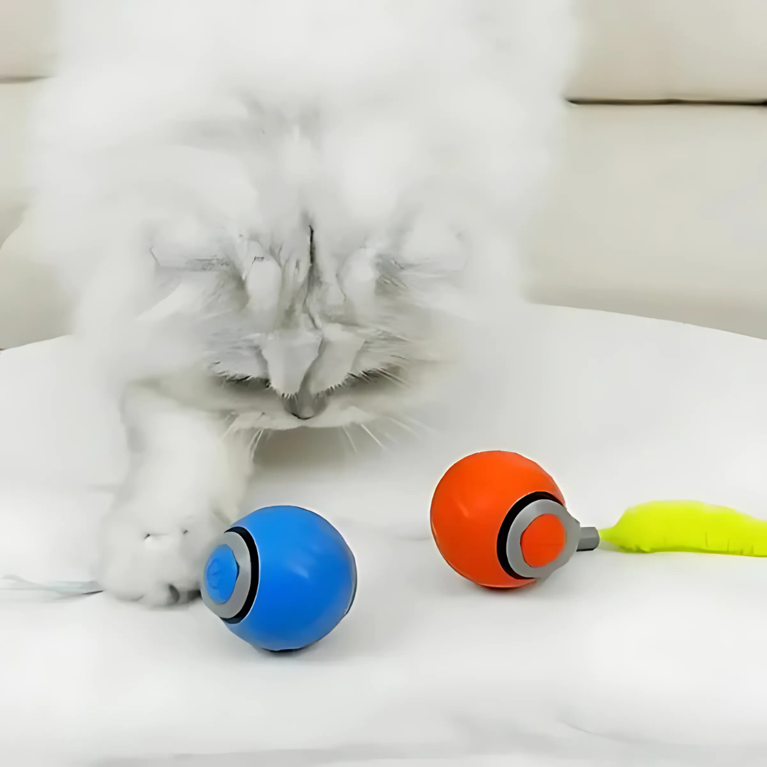 Katzenflitzer® Schnappball