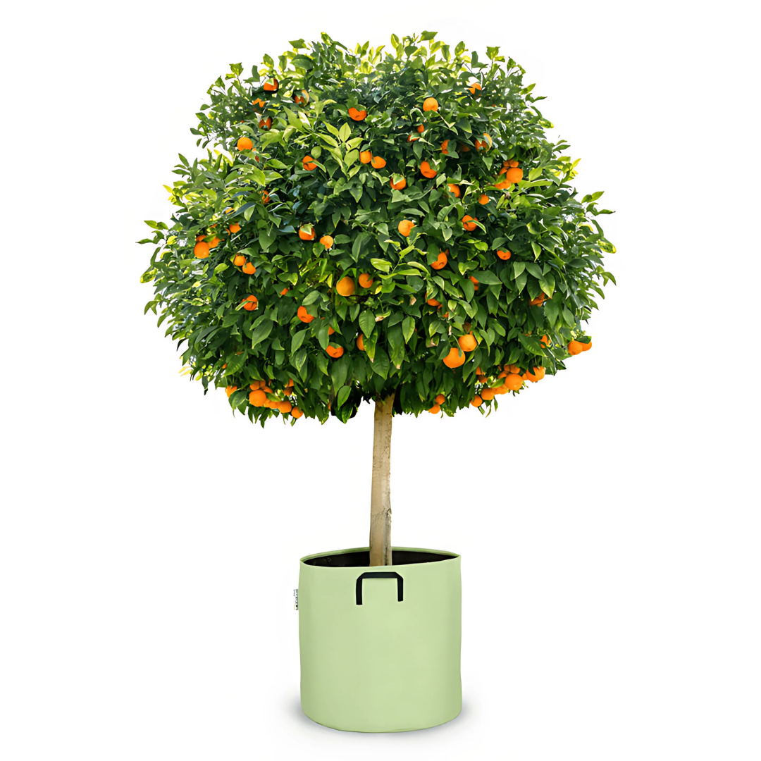 Pot auto-arrosant évolutif