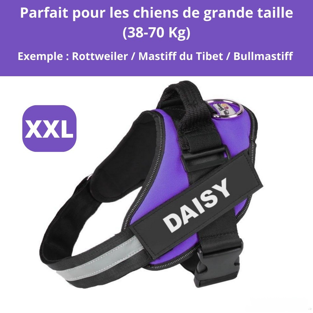 Harnais personnalisable anti-traction pour petit chien