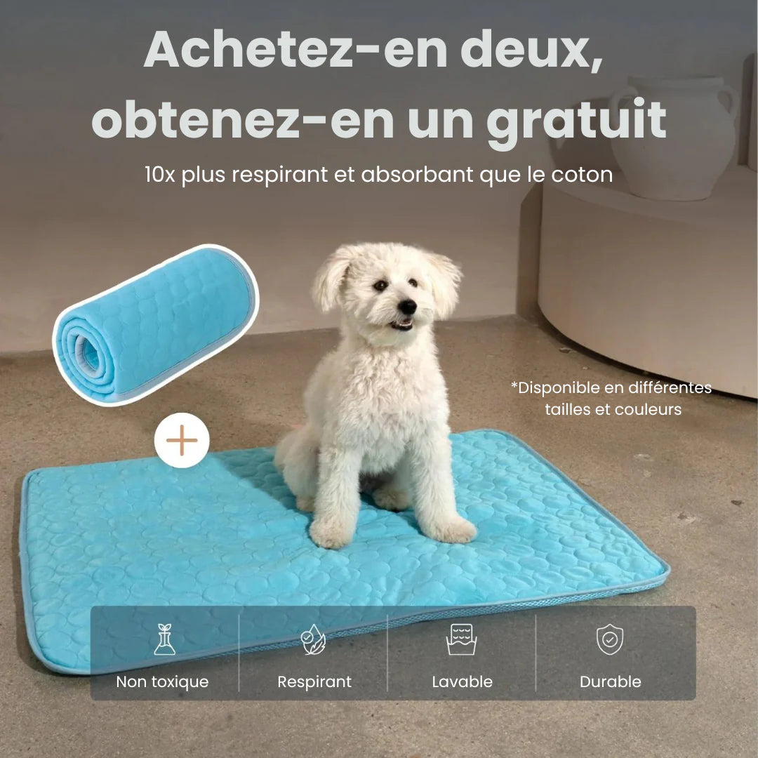 Tapis Rafraîchissant pour Animaux