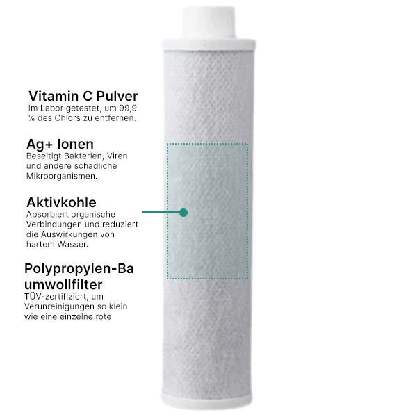 Domistica Duschkopf mit Filter