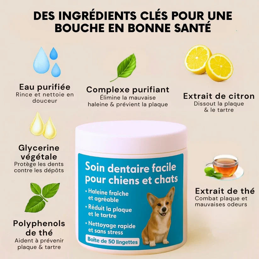 Lingettes dentaires pour animaux