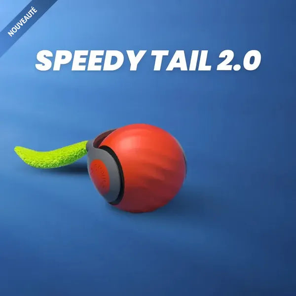 Jouet interactif pour chats - Balle Speedy 2.0