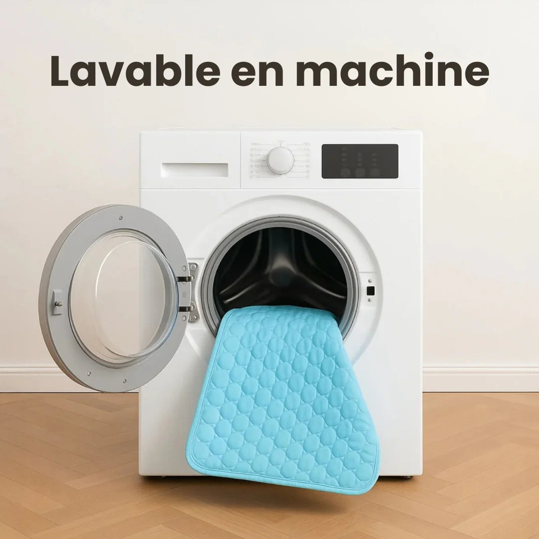 Tapis Rafraîchissant pour Animaux