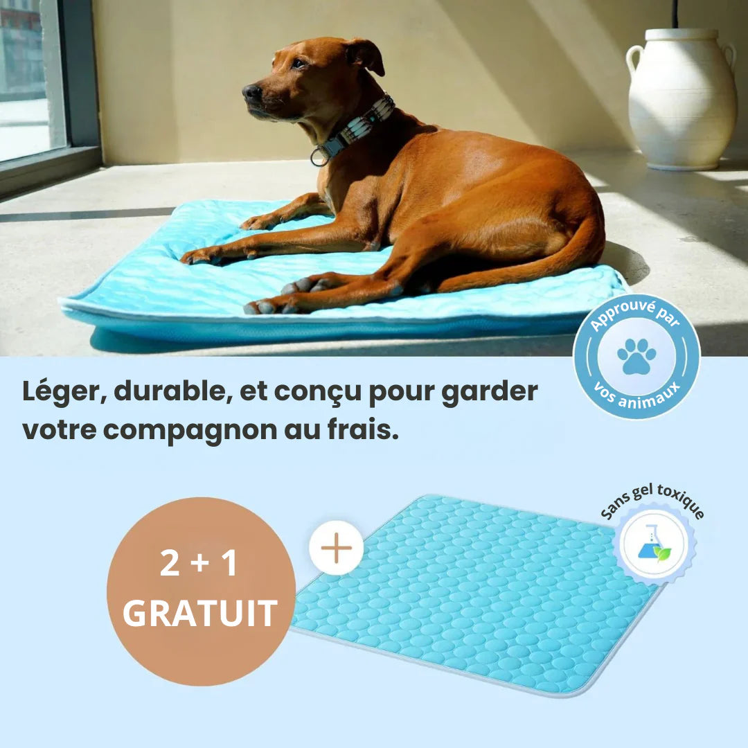 Tapis Rafraîchissant pour Animaux